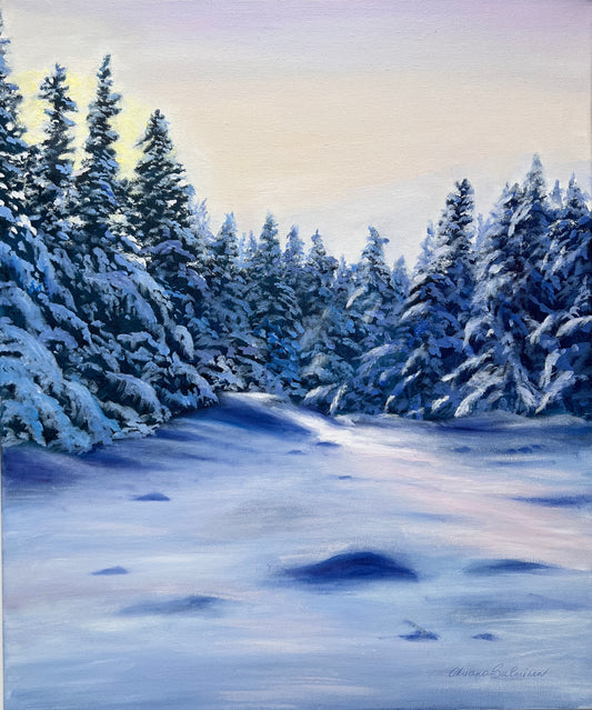 Winter Forest Landscape