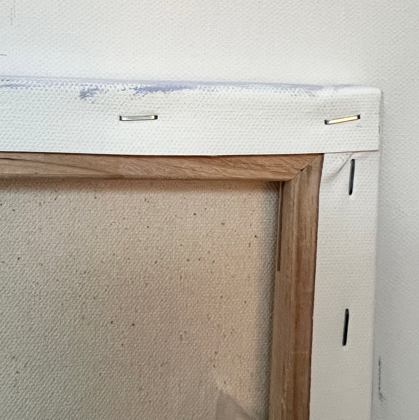 Winter Forest Landscape