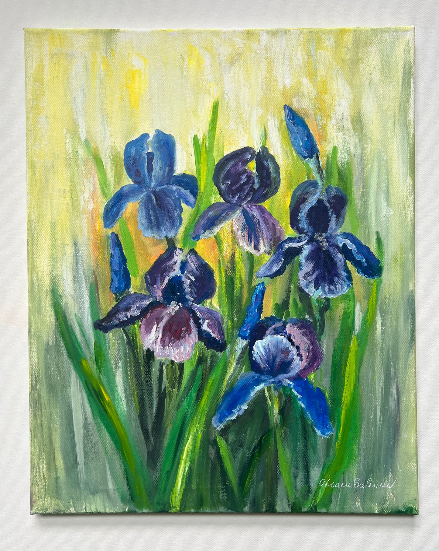 Sunny Irises