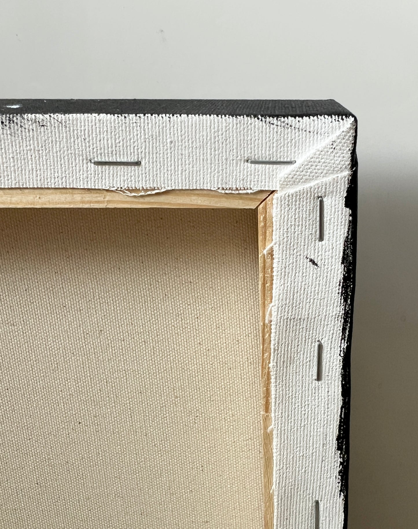 Close-up of a canvas back side