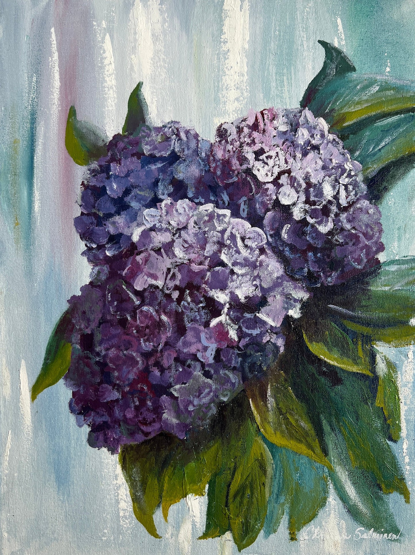 Hydrangeas