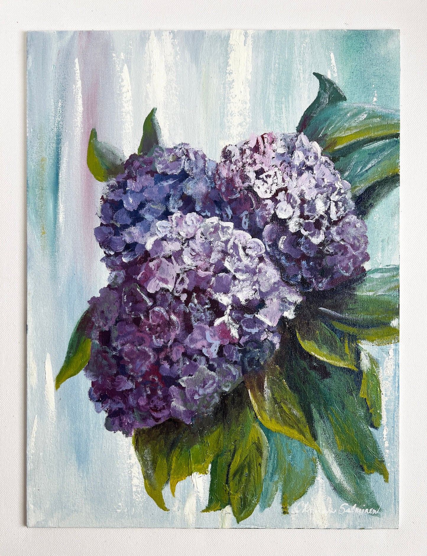 Hydrangeas