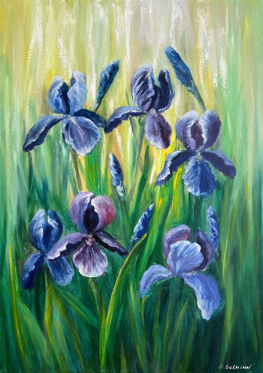 Irises in the Sun