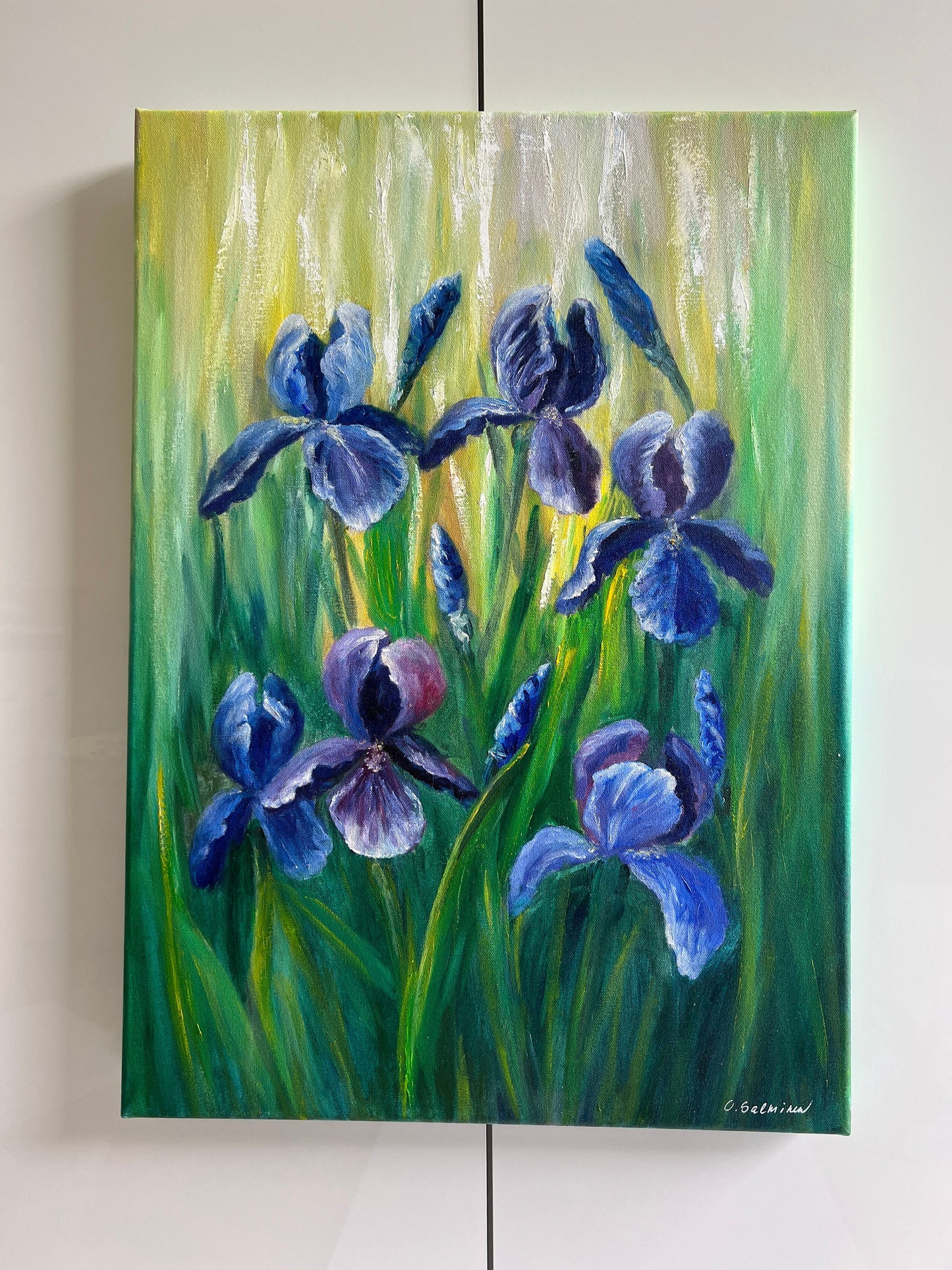 Irises in the Sun