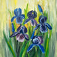 Sunny Irises