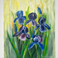 Sunny Irises