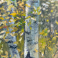 Birch Trees in Autumn