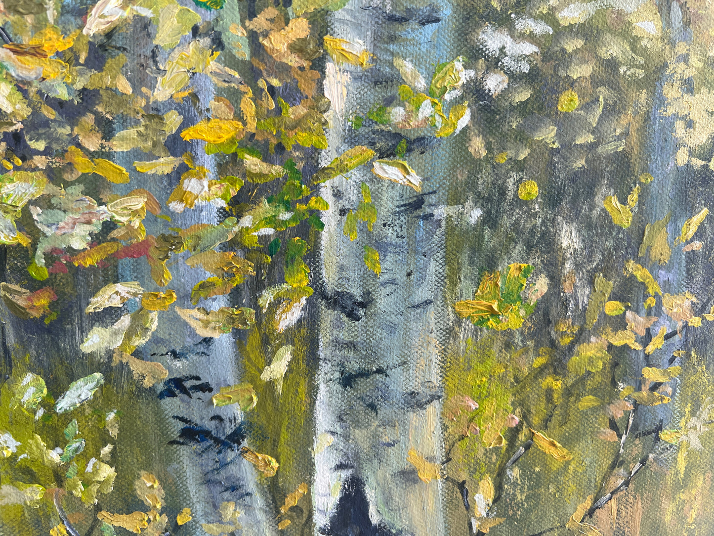 Birch Trees in Autumn