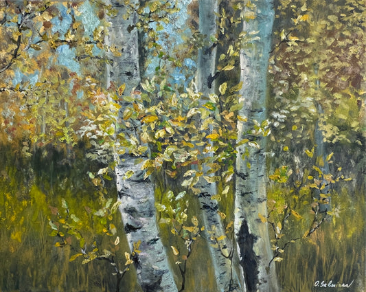 Birch Trees in Autumn