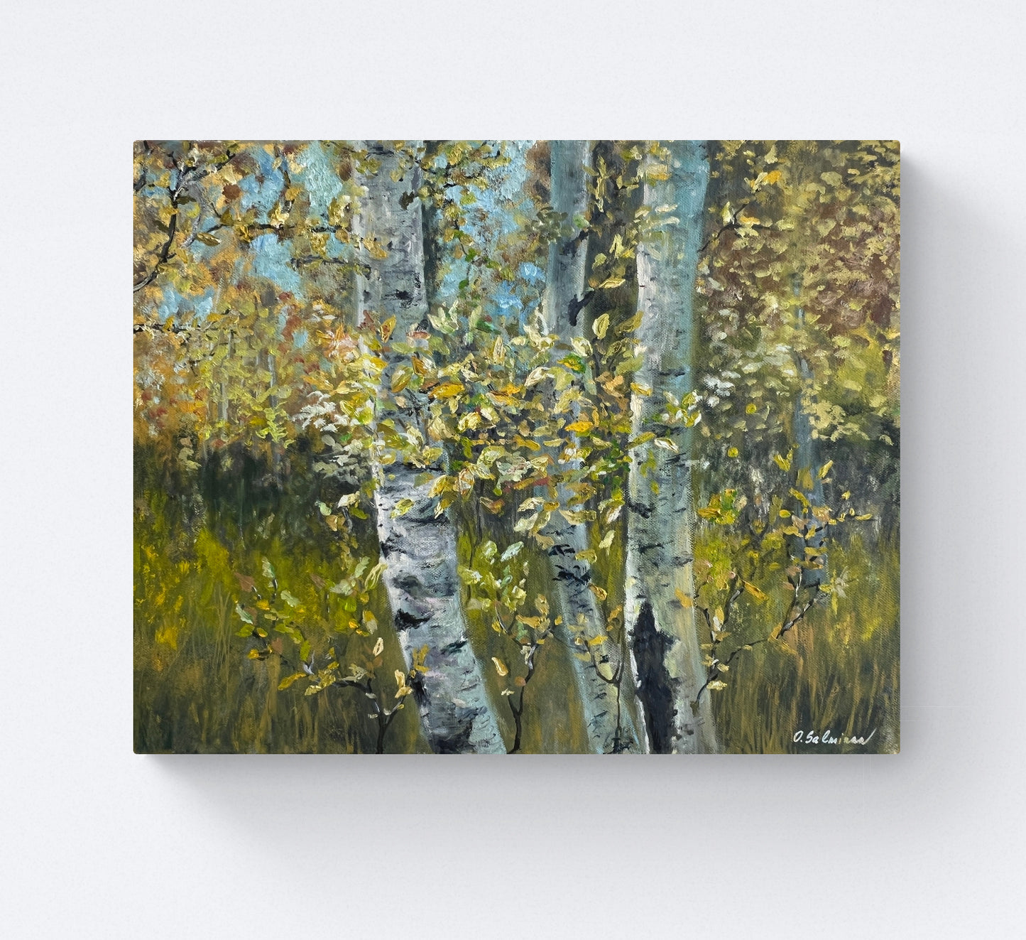 Birch Trees in Autumn