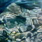 Jewelry of the Sea