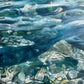 Jewelry of the Sea