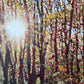 Painting of a forest with sunlight filtering through the trees