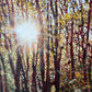 Painting of a forest with sunlight filtering through the trees