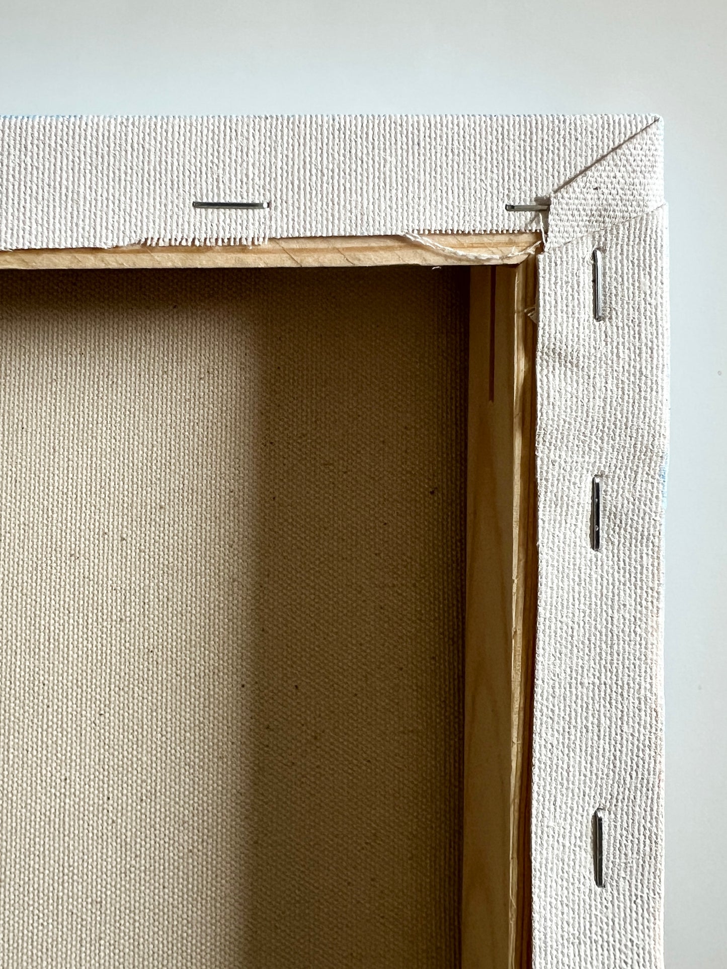 Close-up of a textured beige canvas  back on a white background