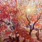 Painting of a sunlit forest with autumn-colored trees