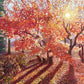 Autumn scene with trees and a path, featuring warm colors with signature
