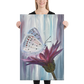 Fragile Butterfly – Luxury Gallery-Quality Canvas Print