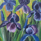 Sunny Irises