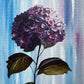 Purple Hydrangea