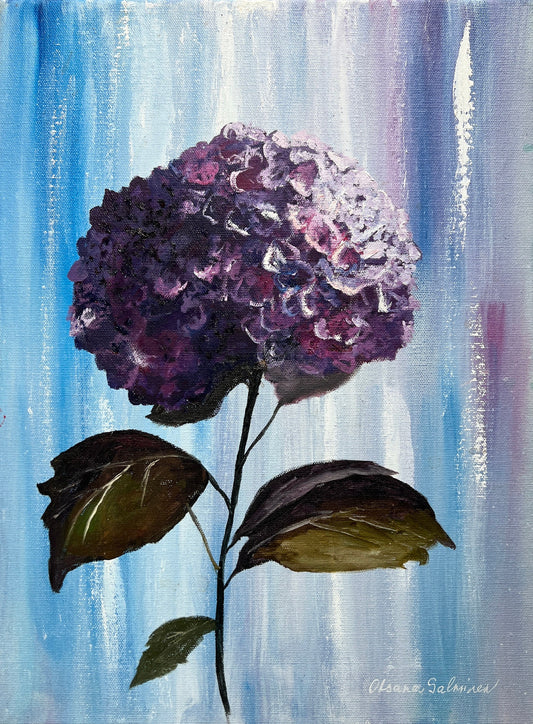 Purple Hydrangea