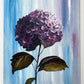 Purple Hydrangea