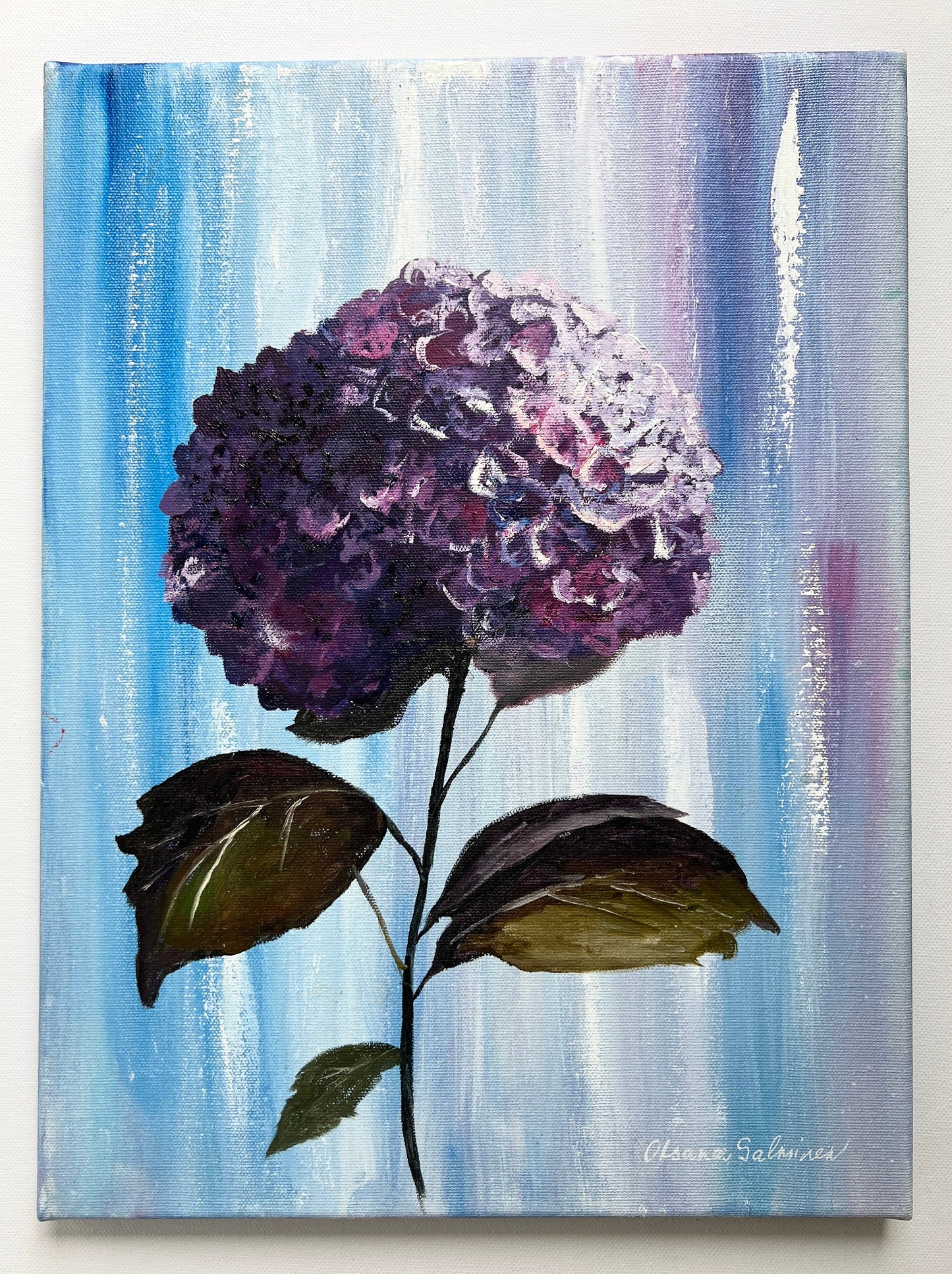 Purple Hydrangea